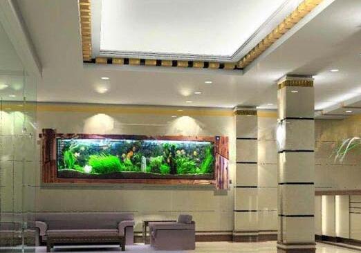 順酐對環(huán)境有哪些影響您知道嗎？